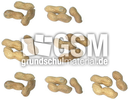 Erdnüsse-7x3.jpg